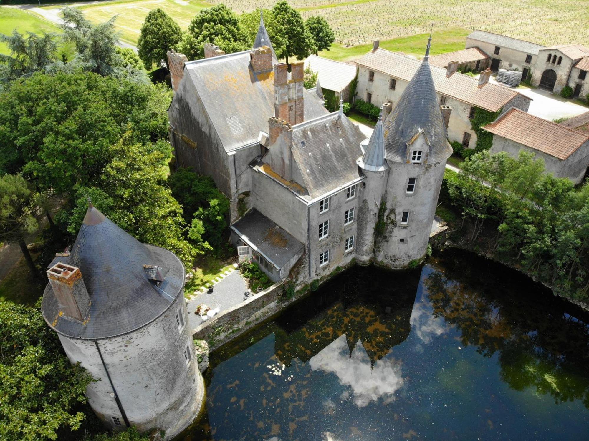 Bed and Breakfast Château de la Preuille Bed&Breakfast à Montaigu-Vendee Extérieur photo